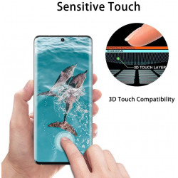 3D Tempered Glass Full Screen Protector with Working Adhesive In Screen Finger Scanner for Samsung Galaxy S21 Ultra 5G (Clear)