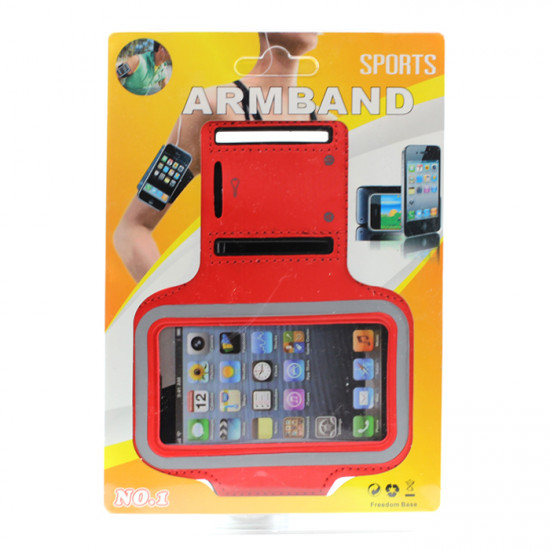 iPhone 5S 5C 5 4S 4 Sports Armband (Silver)