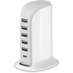 6-Port Fast Charging Station, 40W Power, Type-C Output, Universal Compatibility, Matte Finish, Compact Design for Multiple Devices (White)