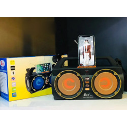 Retro DJ Portable Bluetooth Speaker with LED, USB, SD Card Slot, FM Radio, Durable Shell, Universal Compatibility, High Sound Quality, FP33 (Yellow)