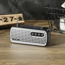 Sleek Silver Grill Design Portable Bluetooth Wireless Speaker P150 with Micro SD and USB Slots, FM Radio, and a Durable Shell for Universal Devices (Black)